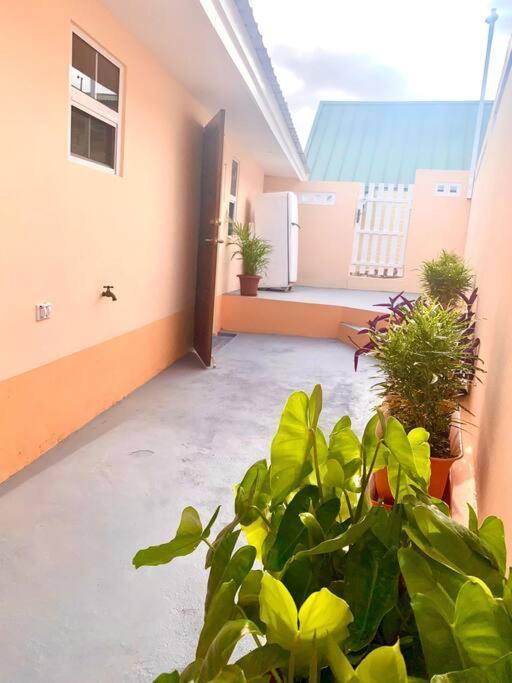Centrally Located, Private, 1 Bedroom Apartment. Willemstad Extérieur photo